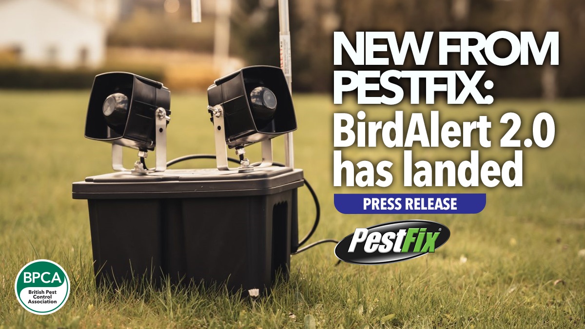 bird-alert-2-0-has-landed bird-alert-2-0-has-landed